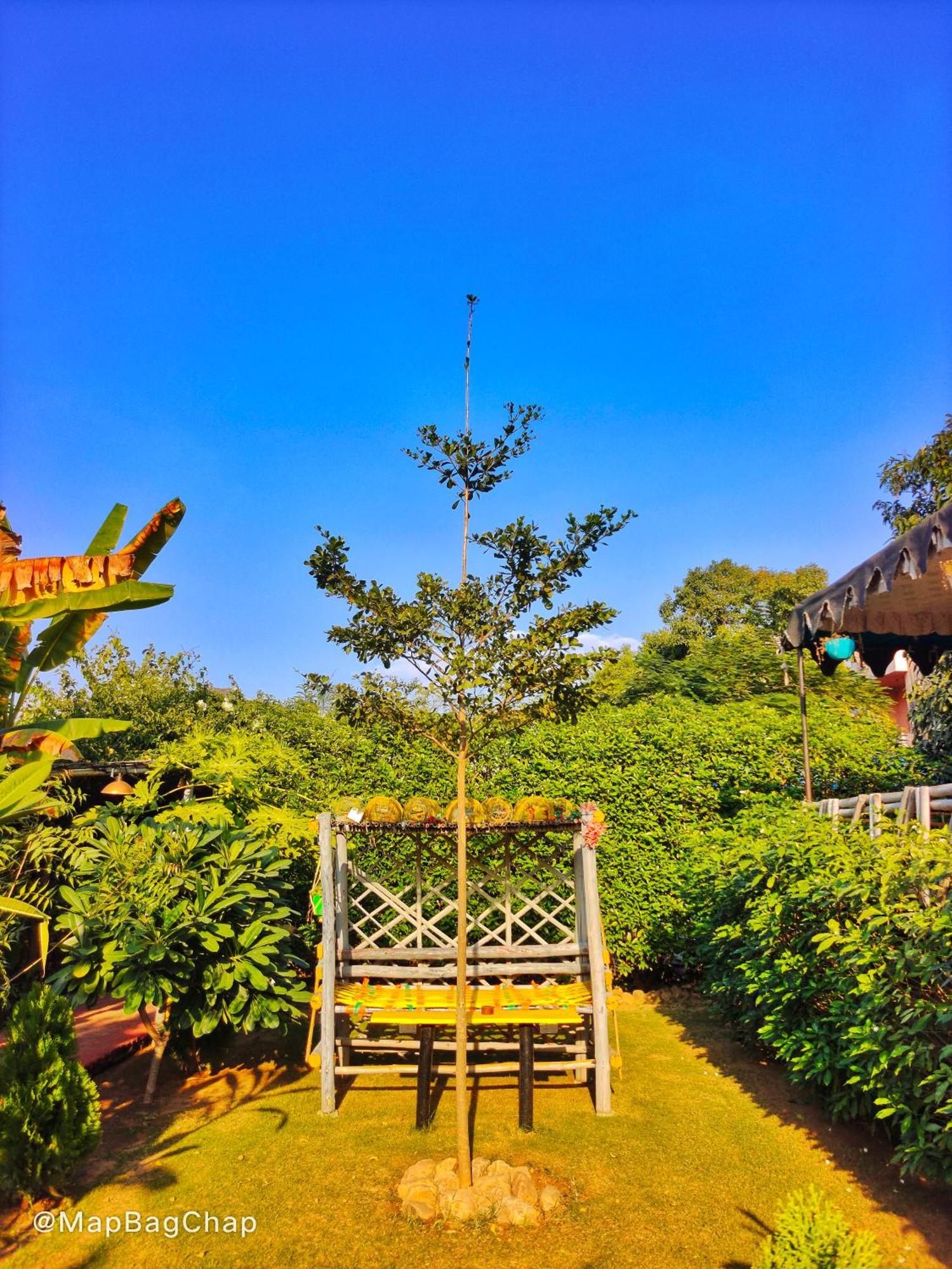 นมัสเต อินเดีย ปุษกร Hostel พุชการ์ ภายนอก รูปภาพ